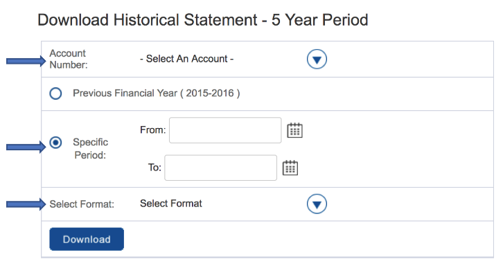 Download bank statement pdf