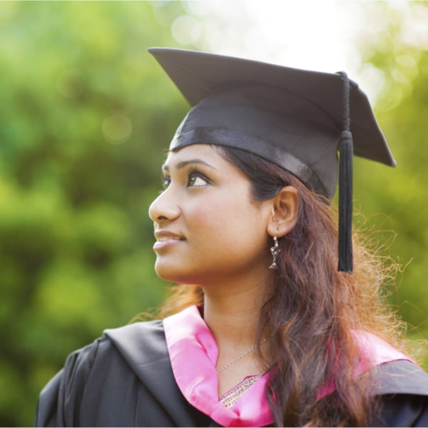 Higher Education