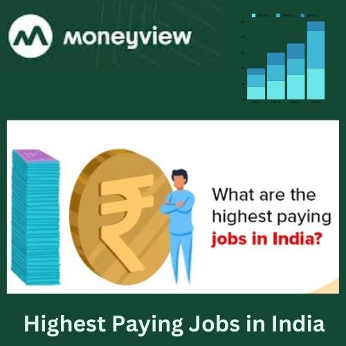 Highest Paying Jobs in India